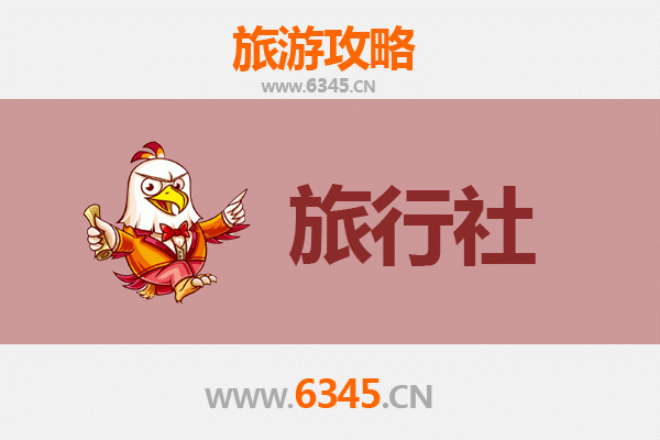 湾仔本地旅行社推荐 | 深度游香港岛的完美起点