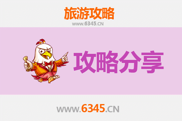 香港岛湾仔旅游攻略：跟团与自由行深度解析