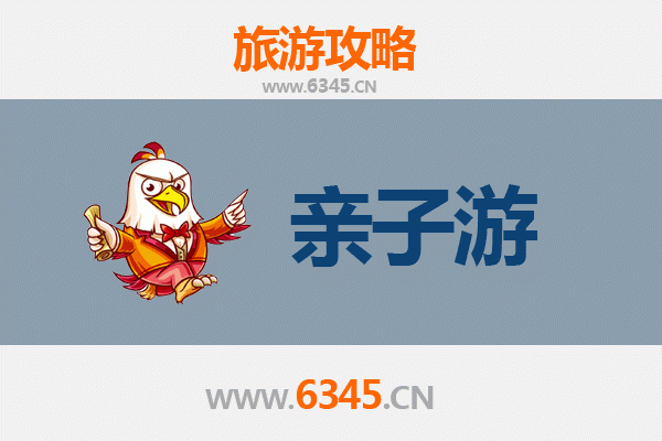 香港岛湾仔亲子游攻略：探索城市乐趣与家庭时光