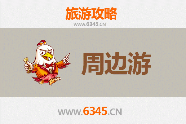 香港岛湾仔周边深度游攻略：传统与现代交织的都市探索